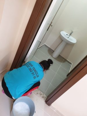 Bornova temizlik firması